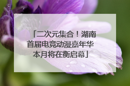 二次元集合！湖南首届电竞动漫嘉年华本月将在衡启幕