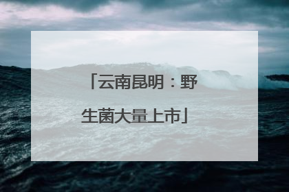 云南昆明：野生菌大量上市