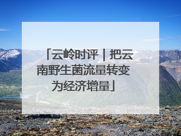 云岭时评｜把云南野生菌流量转变为经济增量