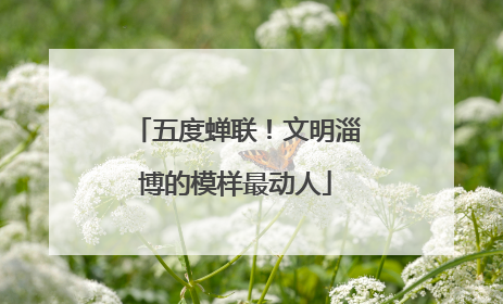 五度蝉联！文明淄博的模样最动人