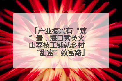 产业振兴有“荔”量，海口秀英火山荔枝王铺就乡村“甜蜜”致富路