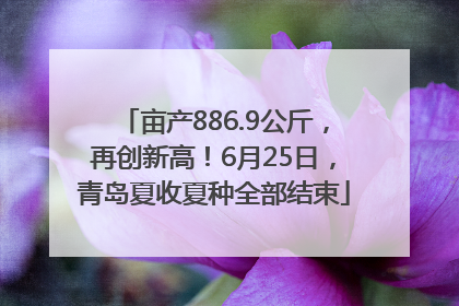 亩产886.9公斤，再创新高！6月25日，青岛夏收夏种全部结束