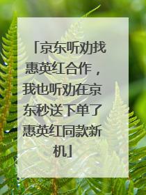 京东听劝找惠英红合作，我也听劝在京东秒送下单了惠英红同款新机