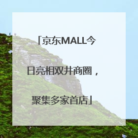 京东MALL今日亮相双井商圈，聚集多家首店