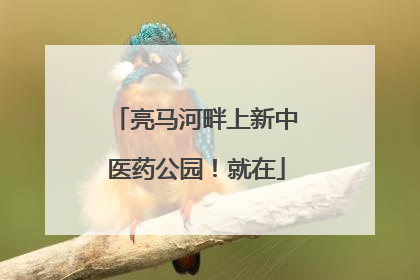 亮马河畔上新中医药公园！就在