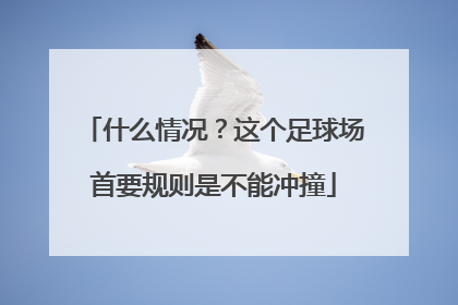 什么情况？这个足球场首要规则是不能冲撞