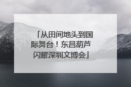 从田间地头到国际舞台！东昌葫芦闪耀深圳文博会