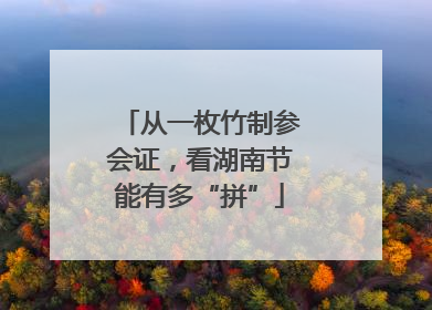 从一枚竹制参会证，看湖南节能有多“拼”