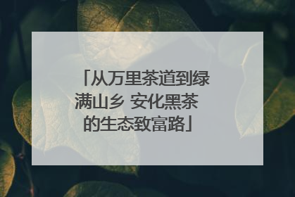 从万里茶道到绿满山乡 安化黑茶的生态致富路