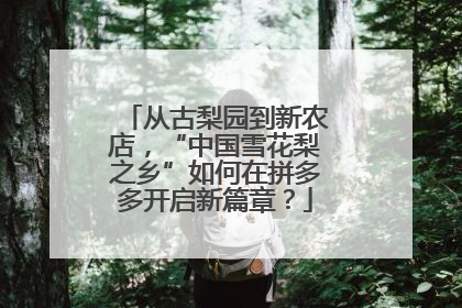 从古梨园到新农店，“中国雪花梨之乡”如何在拼多多开启新篇章？