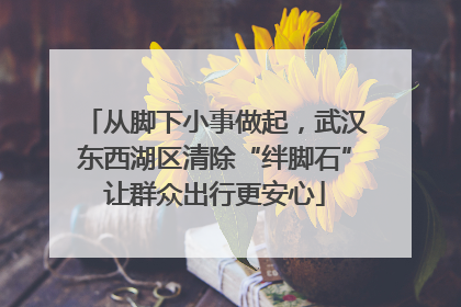 从脚下小事做起，武汉东西湖区清除“绊脚石”让群众出行更安心