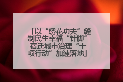 以“绣花功夫”缝制民生幸福“针脚” 宿迁城市治理“十项行动”加速落地