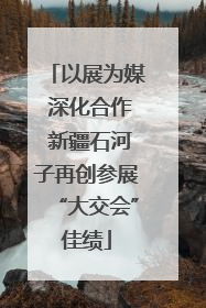以展为媒 深化合作 新疆石河子再创参展“大交会”佳绩