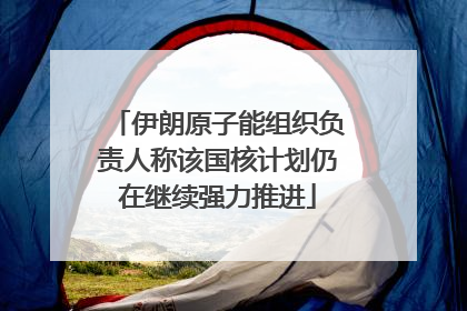 伊朗原子能组织负责人称该国核计划仍在继续强力推进