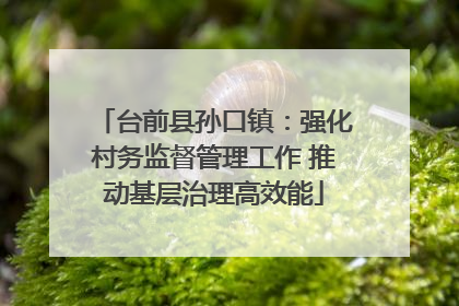 台前县孙口镇：强化村务监督管理工作 推动基层治理高效能