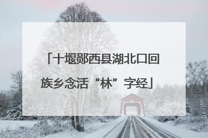 十堰郧西县湖北口回族乡念活“林”字经