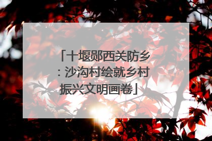 十堰郧西关防乡：沙沟村绘就乡村振兴文明画卷