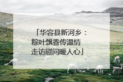 华容县新河乡：粽叶飘香传温情 走访慰问暖人心