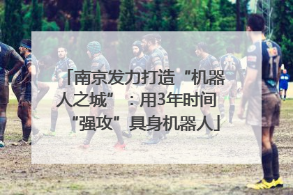 南京发力打造“机器人之城”：用3年时间“强攻”具身机器人