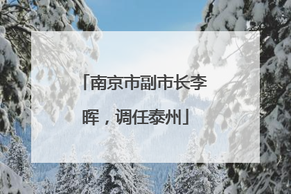 南京市副市长李晖，调任泰州