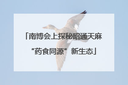 南博会上探秘昭通天麻“药食同源”新生态