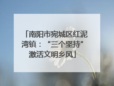 南阳市宛城区红泥湾镇：“三个坚持”激活文明乡风