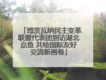 博茨瓦纳民主变革联盟代表团到访湖北嘉鱼 共绘国际友好交流新画卷