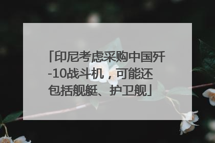 印尼考虑采购中国歼-10战斗机，可能还包括舰艇、护卫舰