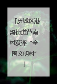 历城区港沟街道芦南村获评“全国文明村”