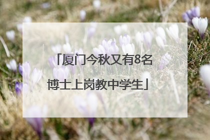 厦门今秋又有8名博士上岗教中学生