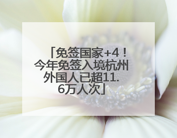 免签国家+4！今年免签入境杭州外国人已超11.6万人次