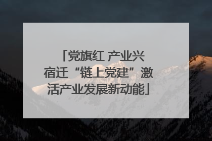 党旗红 产业兴 宿迁“链上党建”激活产业发展新动能