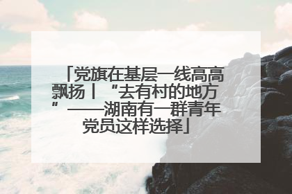 党旗在基层一线高高飘扬丨“去有村的地方”——湖南有一群青年党员这样选择