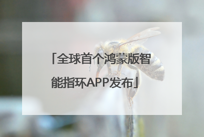 全球首个鸿蒙版智能指环APP发布
