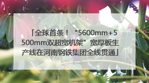 全球首条！“5600mm+5500mm双超宽机架”宽厚板生产线在河南钢铁集团全线贯通