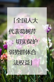 全国人大代表葛树芹：切实保护弱势群体合法权益