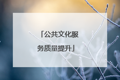 公共文化服务质量提升