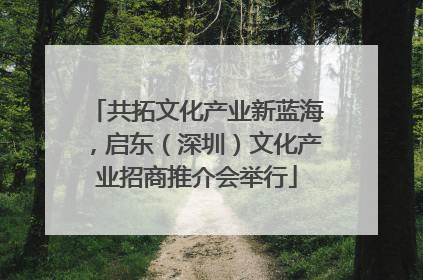 共拓文化产业新蓝海，启东（深圳）文化产业招商推介会举行