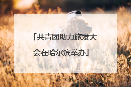 共青团助力旅发大会在哈尔滨举办