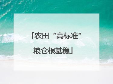 农田“高标准” 粮仓根基稳