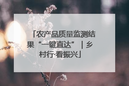 农产品质量监测结果“一键直达”｜乡村行·看振兴