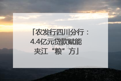 农发行四川分行：4.4亿元贷款赋能夹江“粮”方