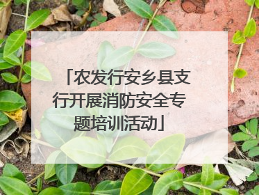 农发行安乡县支行开展消防安全专题培训活动