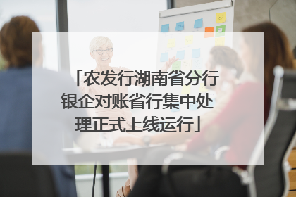 农发行湖南省分行银企对账省行集中处理正式上线运行