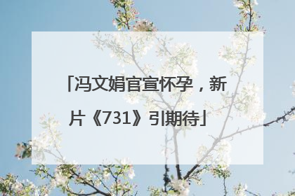 冯文娟官宣怀孕，新片《731》引期待