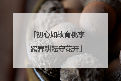 初心如故育桃李 跨界耕耘守花开