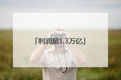 利润超1.3万亿