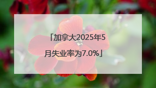 加拿大2025年5月失业率为7.0%