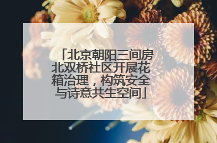 北京朝阳三间房北双桥社区开展花箱治理，构筑安全与诗意共生空间