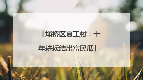 埇桥区夏王村：十年耕耘结出富民瓜